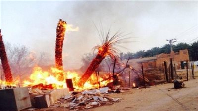 2016 عام خسارة الملايين لمزارعي النخل.. الحرائق التهمت 80 فدانًا بها 3 آلاف نخلة في الجيزة.. والنار تبيد مزرعتين بالوادي الجديد