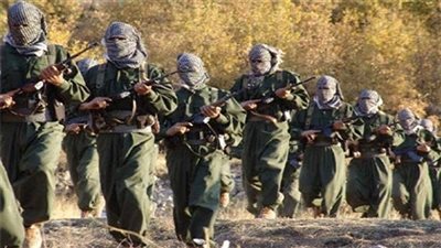 برلماني تركي ينتقد سماح ألمانيا لتنظيم 