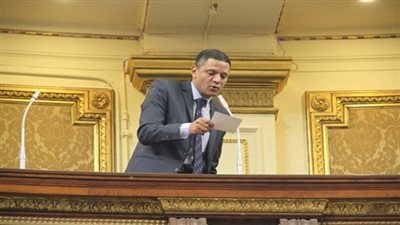 شاهد.. برلماني: نعمل على تعديل المادة 37 من الدستور