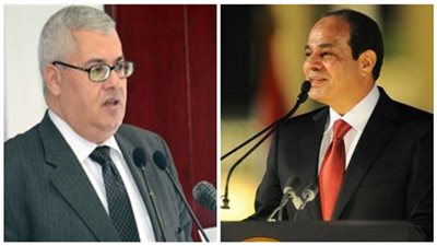 السيسي يعين 