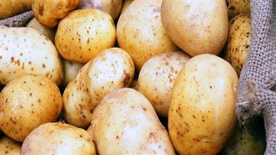 20 قرشًا ارتفاعًا لكيلو البطاطس بالعبور اليوم