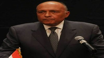 الجيش الإسرائيلي: تعاون بين مصر وإسرائيل لمكافحة الإرهاب