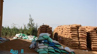 محافظ الفيوم: تذليل عقبات استلام القمح من المزارعين