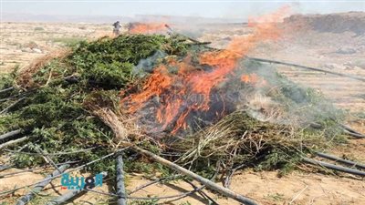 قوات الأمن تحرق مخزن مخدرات في 