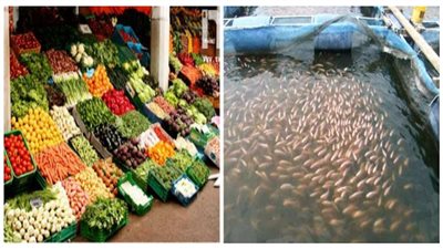 تصدير المحاصيل الزراعية الإيرانية إلى روسيا جوًا