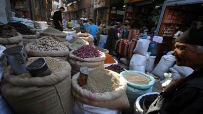 العدس الأصفر يسجل 18 جنيهًا بالمنيا