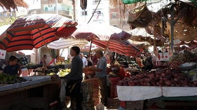 أستاذ اقتصاد: تطبيق قانون القيمة المضافة يساعد على خفض الأسعار