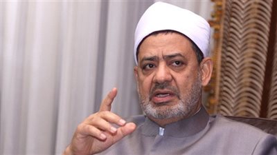 شيخ الأزهر يعلن إرسال مساعدات طبية وغذائية للنازحين في نيجيريا