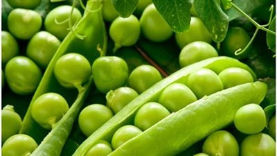 البسلة تسجل 3 جنيهات بالقاهرة