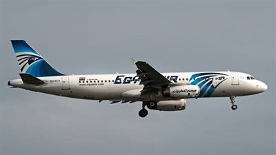 برلماني: سقوط الطائرة جراء هجوم إرهابي مسئولية فرنسا