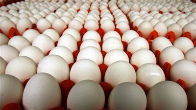 كرتونة البيض البلدي تسجل 27 جنيهًا بالجيزة