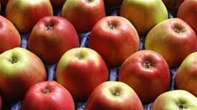 12 جنيهًا لكيلو التفاح البلدي بأسوان.. والمانجو بـ16 في الغربية