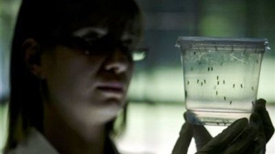 الصحة العالمية: رصد وباء زيكا في أول بلد في أفريقيا