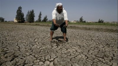 الرقعة الزراعية إلى زوال.. مصر تخسر 65 ألف فدان من أجود الأراضي.. المخالفات تزداد بصورة مخيفة.. الأمن الغذائي في خطر.. والفلاح لم يعد متمسكًا بـ