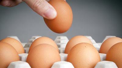 30 جنيهًا لكرتونة البيض الأحمر بالإسكندرية.. وبـ29 في أسوان