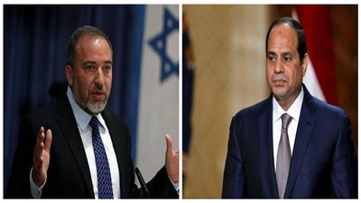 أستاذة علوم سياسية: 