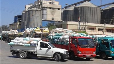 وزير التموين: استلام 3 ملايين و600 ألف طن قمح من المزارعين
