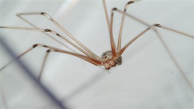 بالفيديو.. رد فعل مذيع أحوال جوية فاجأه 