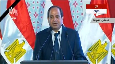 السيسي: لا يمكن الجزم بأي فرضية لتفسير سقوط الطائرة