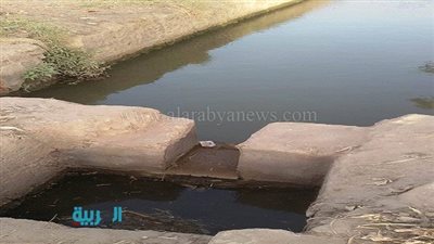 نقص مياه الري يهدد بتلف المحاصيل الزراعية بالفيوم