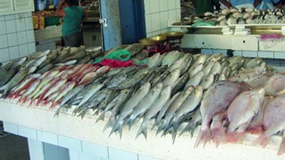 ننشر أسعار الأسماك بالعبور اليوم.. والبلطي بـ17 جنيهًا