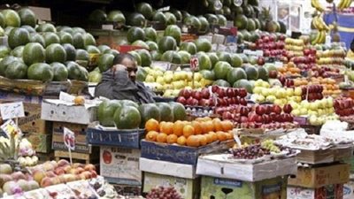 البرتقال البلدي يسجل جنيهين بالدقهلية