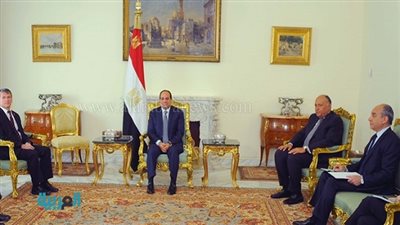 السيسي يلتقي وفد البرلمان الفرنسي بعد حادث الطائرة المصرية.. ويؤكد: نساند ليبيا ضد كل التنظيمات الإرهابية وليس 