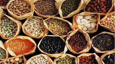 خبير اقتصادي: تشجيع الاستثمار يخفض مخاطر نقص الحبوب الغذائية