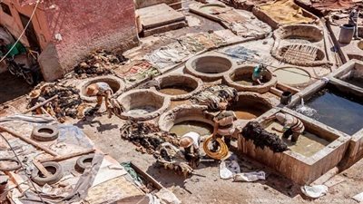 مطالبات بتشكيل لجنة لصياغة عقود نقل مدابغ 