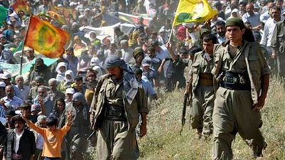 أنصار منظمة 