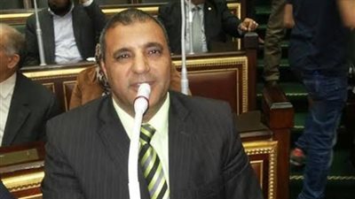 برلماني: أهالي المنيا اعتادوا على احتواء الأزمات 