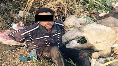 بالصور.. حبس عاطل يذبح 