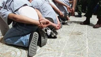 الأمن العام يضبط 346 سلاحًا ناريًا و5 تشكيلات عصابية 