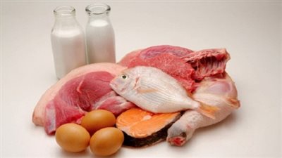 خبير بيطري: يجب إنشاء هيئة للرقابة على الغذاء الحيواني