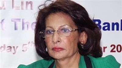 أستاذ اقتصاد: زيادة ضرائب الشرائح الكبرى سد احتياجات 