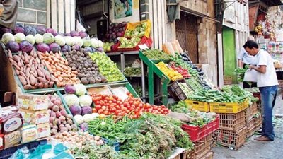 الطماطم تسجل 5 جنيهات بالوادي الجديد