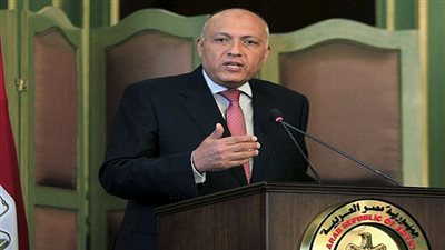 بالفيديو.. وزير الخارجية: مصر لم تتخلَّ عن القضية الفلسطينية