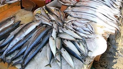 ننشر أسعار الأسماك بسوق العبور اليوم