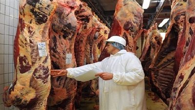 روسيا تستثني اللحوم والخضروات من حظرها الغذائي