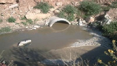 نائب برلماني: إزالة الجزيرة الوسطى بشارع الصرف الصحي بالخصوص