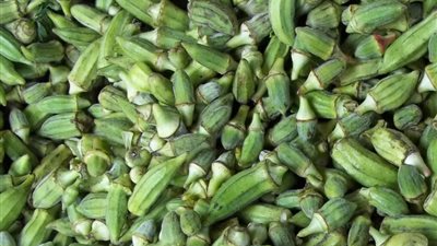 البامية تسجل 18 جنيهًا بالسويس.. و