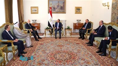  السيسي يستقبل وزير خارجية العراق ورئيس ديوان الوقف السُني