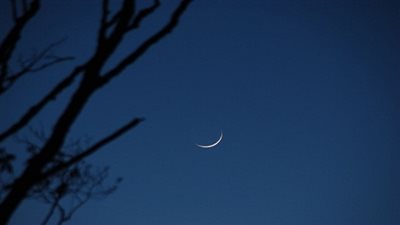 بث مباشر.. احتفال دار الإفتاء لاستطلاع هلال شهر رمضان