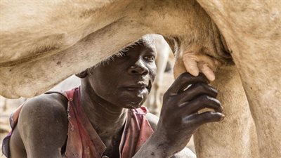 بالصور.. أغرب عادات وتقاليد لقبيلة المنداري بجنوب السودان 
