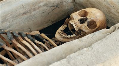 اكتشاف آثار مجزرة وحشية ارتكبت قبل 6 آلاف سنة في فرنسا
