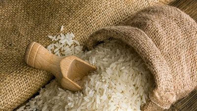 برلماني: الدولة مسئولة عن مخالفات زراعة الأرز 