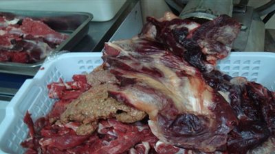 ضبط نصف طن لحوم فاسدة داخل منفذ بيع بالظاهر 