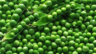 12 جنيهًا لـ