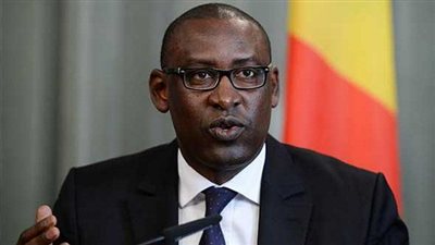 قمة أفريقية – فرنسية بمالي في يناير تبحث محاربة 