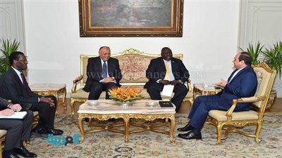السيسي: مصر تسعى لتنمية علاقاتها بأشقائها الأفارقة